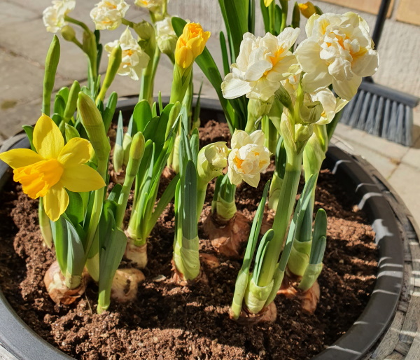 Valmistautuminen kevääseen